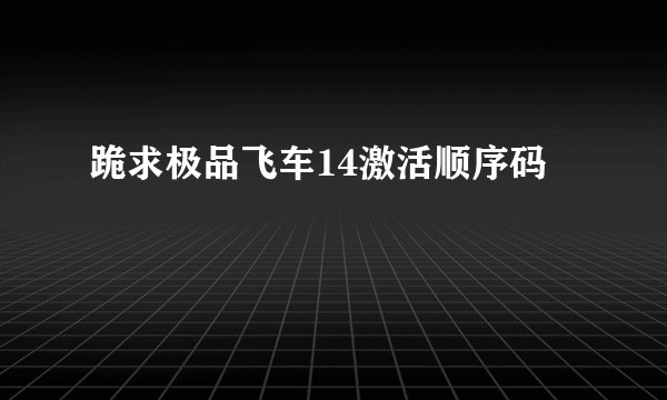 跪求极品飞车14激活顺序码