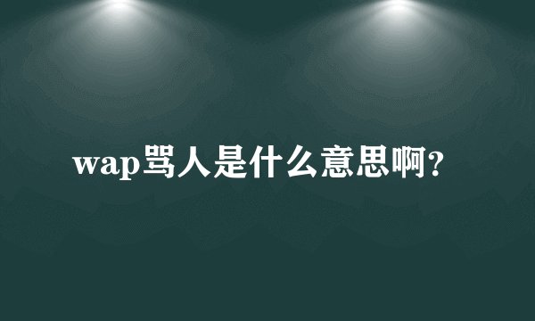 wap骂人是什么意思啊？