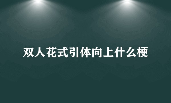 双人花式引体向上什么梗