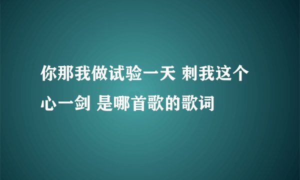你那我做试验一天 刺我这个心一剑 是哪首歌的歌词