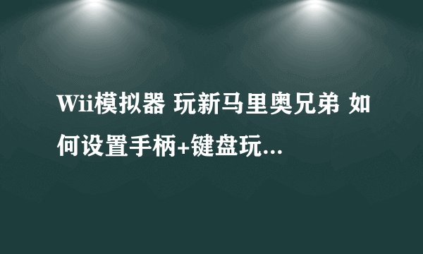 Wii模拟器 玩新马里奥兄弟 如何设置手柄+键盘玩双人模式?