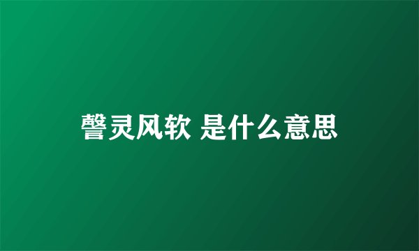 謦灵风软 是什么意思
