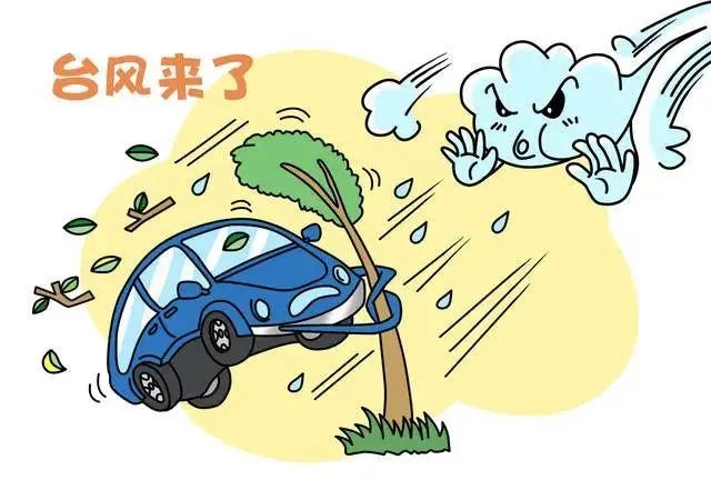 广东人听到台风来袭的反应是怎样的?
