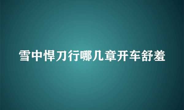 雪中悍刀行哪几章开车舒羞