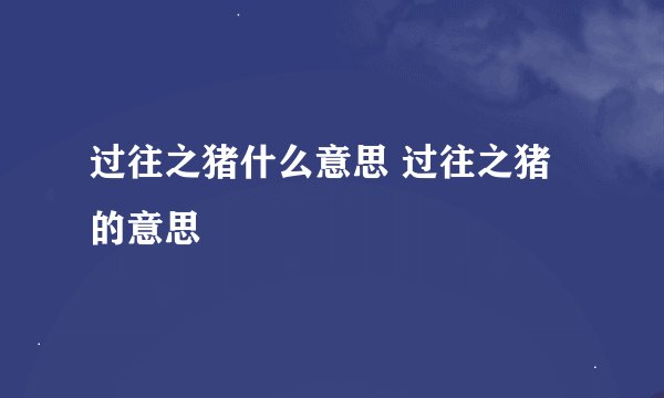 过往之猪什么意思 过往之猪的意思
