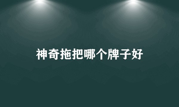 神奇拖把哪个牌子好