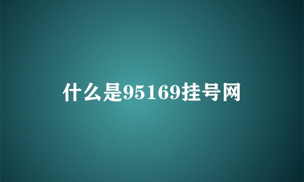 什么是95169挂号网