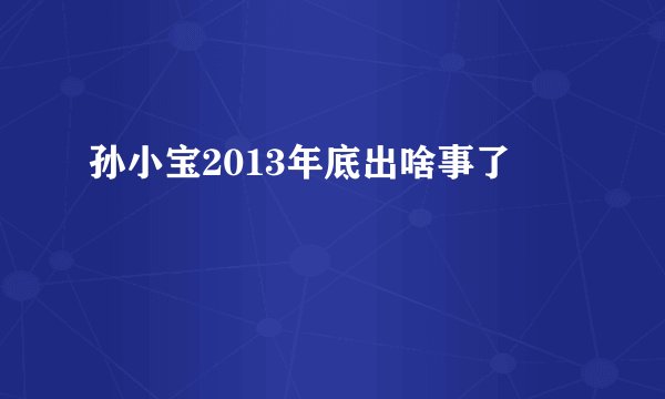 孙小宝2013年底出啥事了