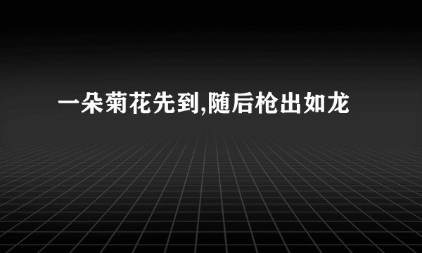 一朵菊花先到,随后枪出如龙