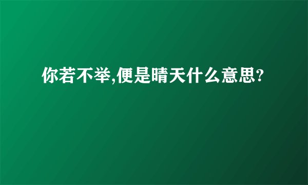 你若不举,便是晴天什么意思?