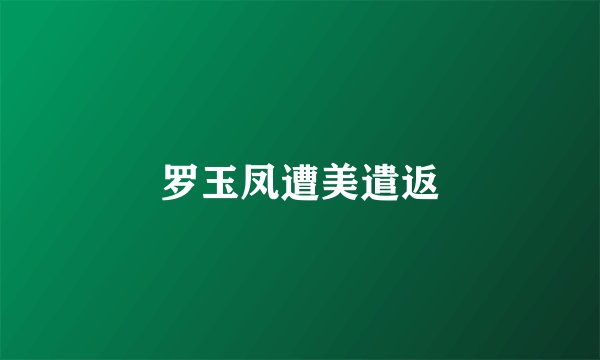 罗玉凤遭美遣返