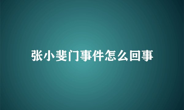 张小斐门事件怎么回事