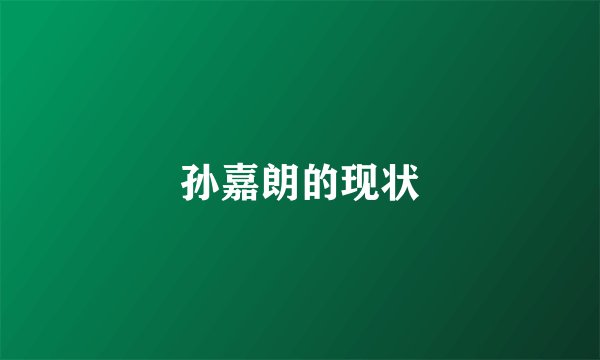 孙嘉朗的现状