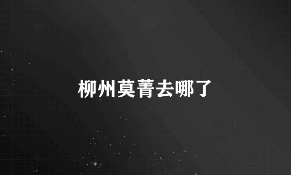 柳州莫菁去哪了