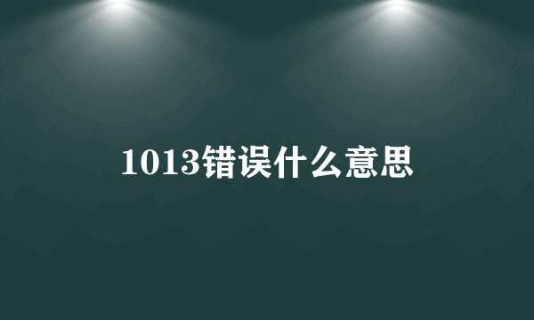 1013错误什么意思
