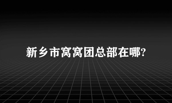 新乡市窝窝团总部在哪?