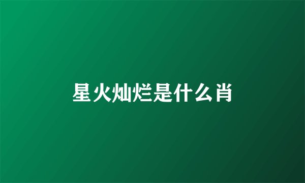 星火灿烂是什么肖