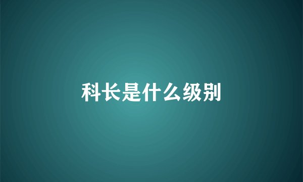科长是什么级别