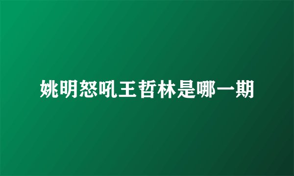 姚明怒吼王哲林是哪一期