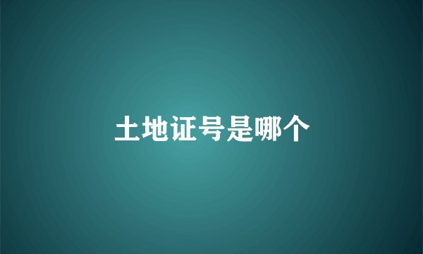 土地证号是哪个