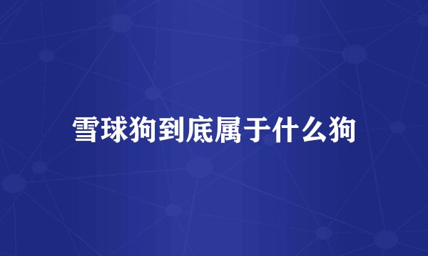 雪球狗到底属于什么狗