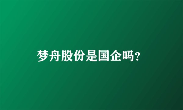 梦舟股份是国企吗？