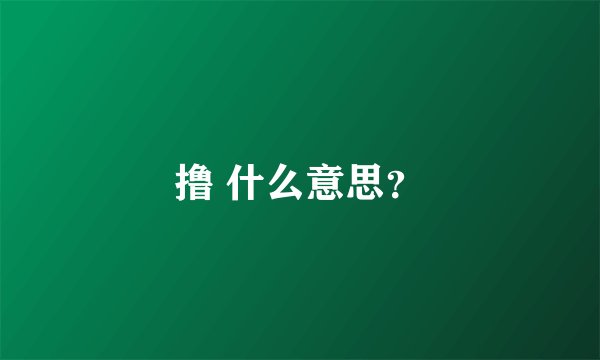 撸 什么意思？
