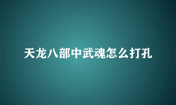 天龙八部中武魂怎么打孔