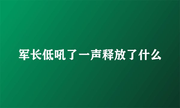 军长低吼了一声释放了什么