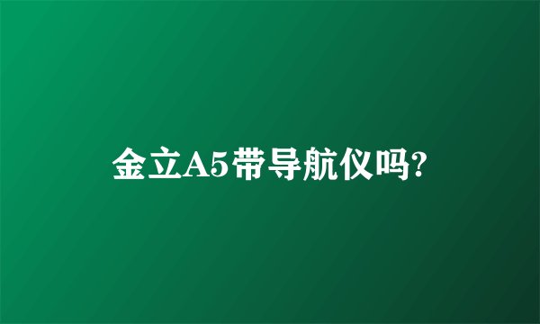 金立A5带导航仪吗?