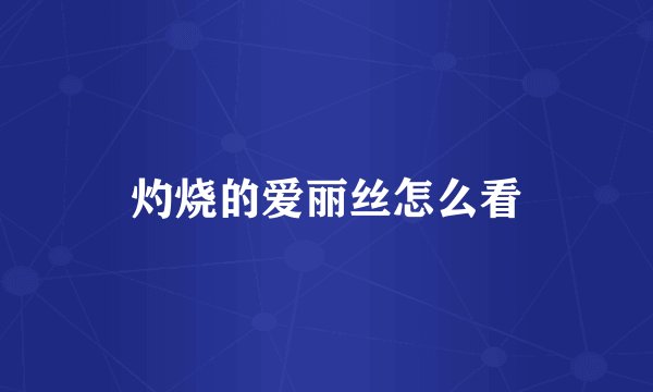 灼烧的爱丽丝怎么看