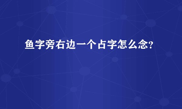 鱼字旁右边一个占字怎么念？