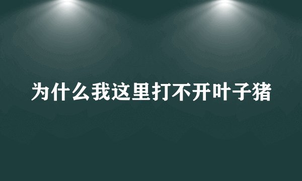 为什么我这里打不开叶子猪