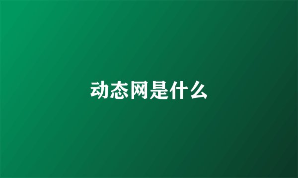 动态网是什么