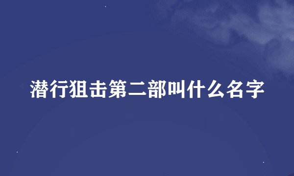 潜行狙击第二部叫什么名字