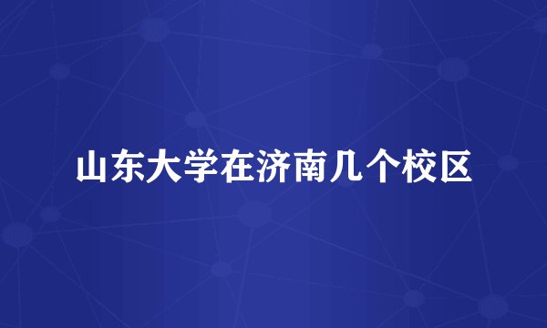山东大学在济南几个校区