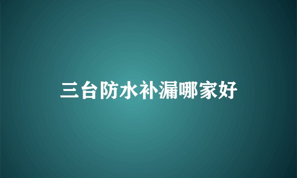 三台防水补漏哪家好