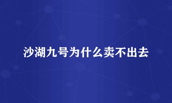 沙湖九号为什么卖不出去
