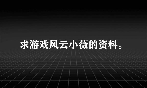 求游戏风云小薇的资料。