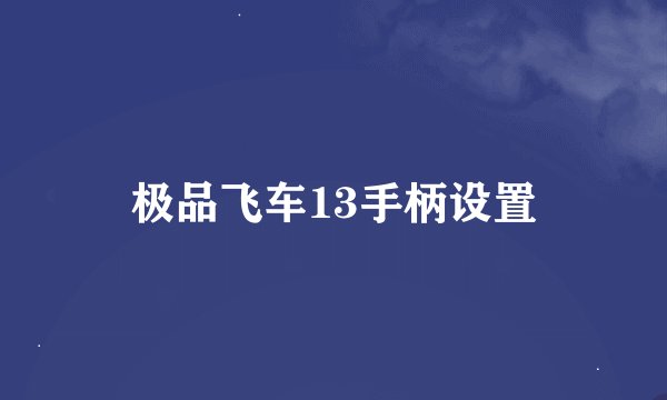 极品飞车13手柄设置