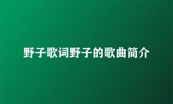 野子歌词野子的歌曲简介