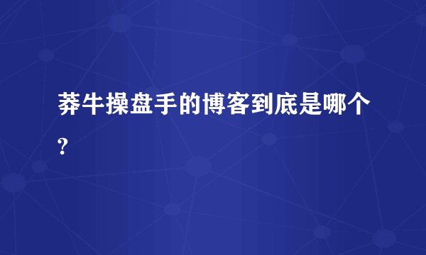 莽牛操盘手的博客到底是哪个?