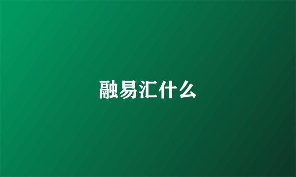 融易汇什么