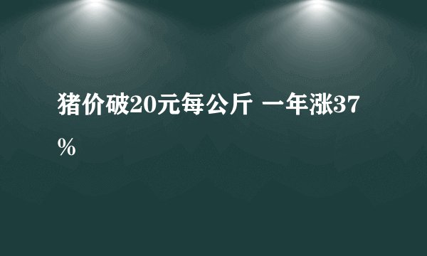猪价破20元每公斤 一年涨37%