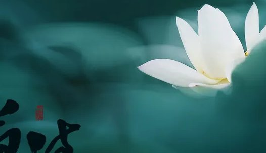 青青的小河还是清清的小河？