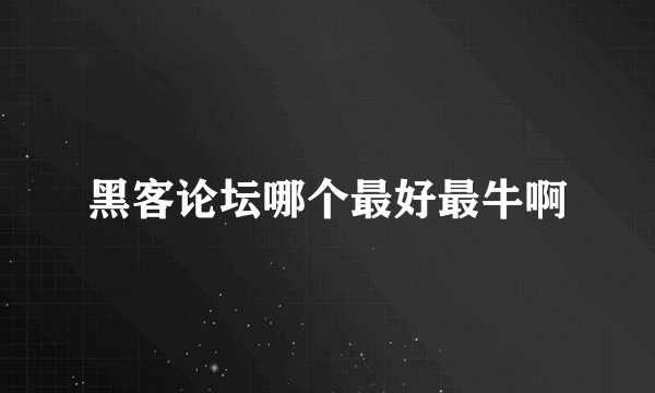 黑客论坛哪个最好最牛啊