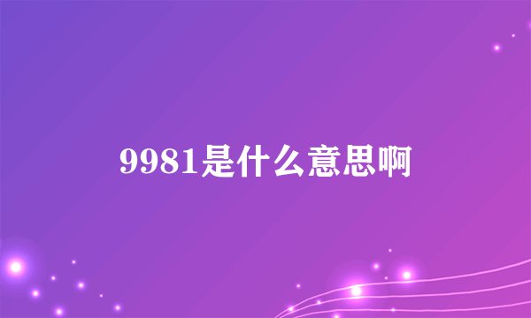 9981是什么意思啊