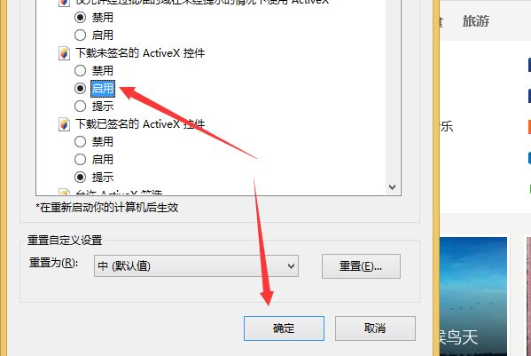 怎样安装ActiveX控件?