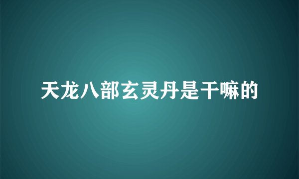 天龙八部玄灵丹是干嘛的
