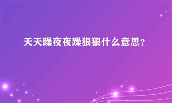 天天躁夜夜躁狠狠什么意思？
